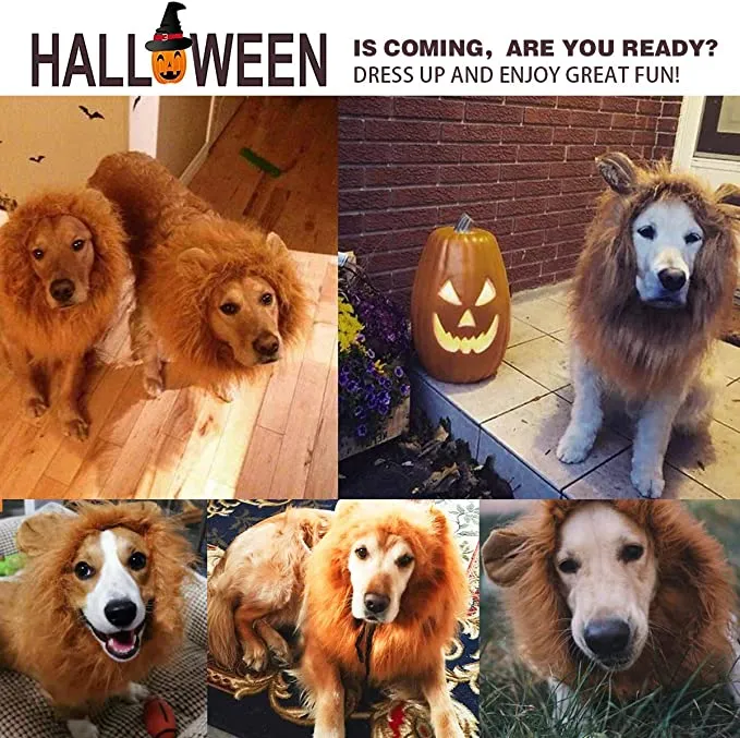 🔥Hot Sale🔥🐕Lion Wig for Dog